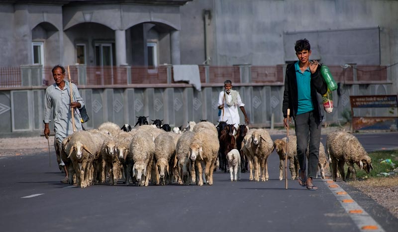 Heading back to home