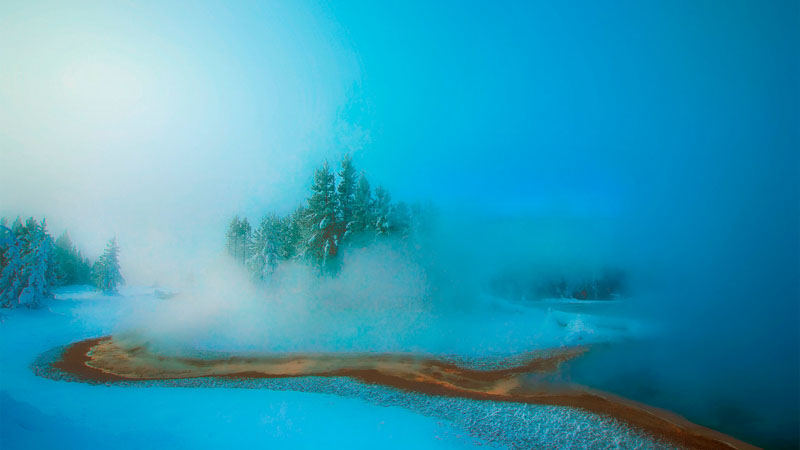 Snow scene in yellowstone park