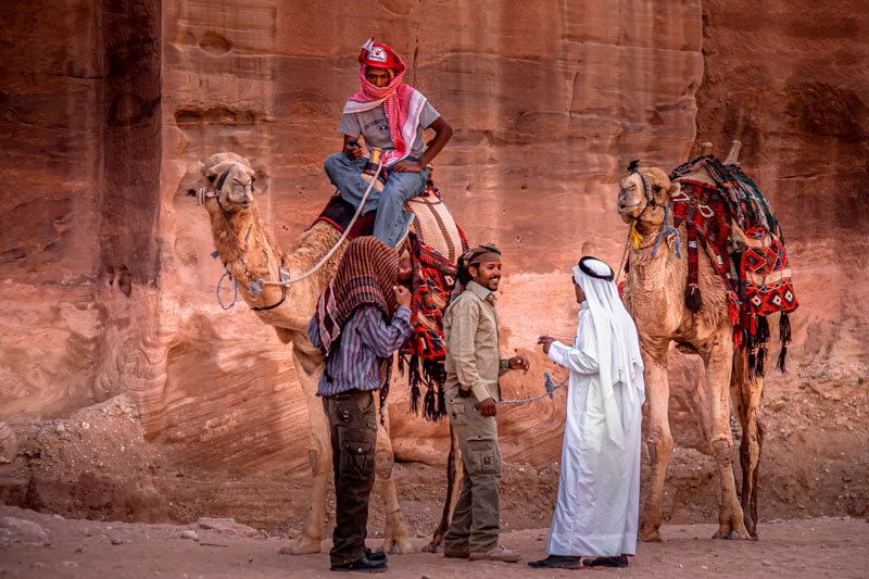 Les chameliers de petra