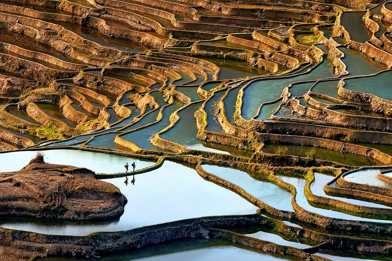 Retreat in yunnan rice terrace