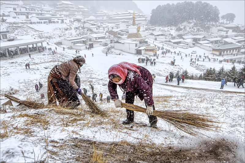 Snow shovels with brushes