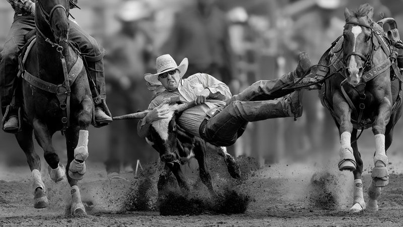 Merritt steer wrestling closer - 20