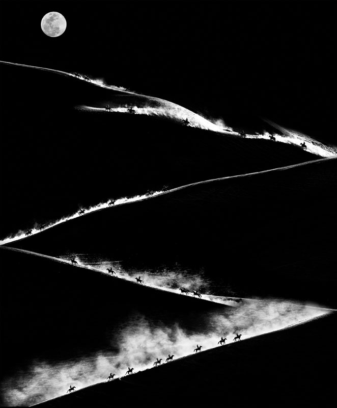 Galloping horses in the moonlight